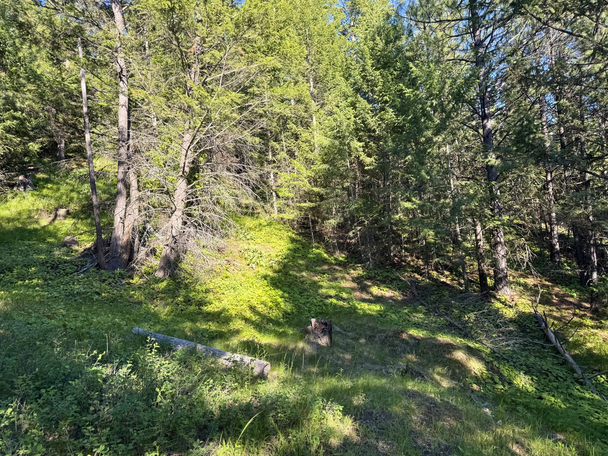 1895 Kienas Road