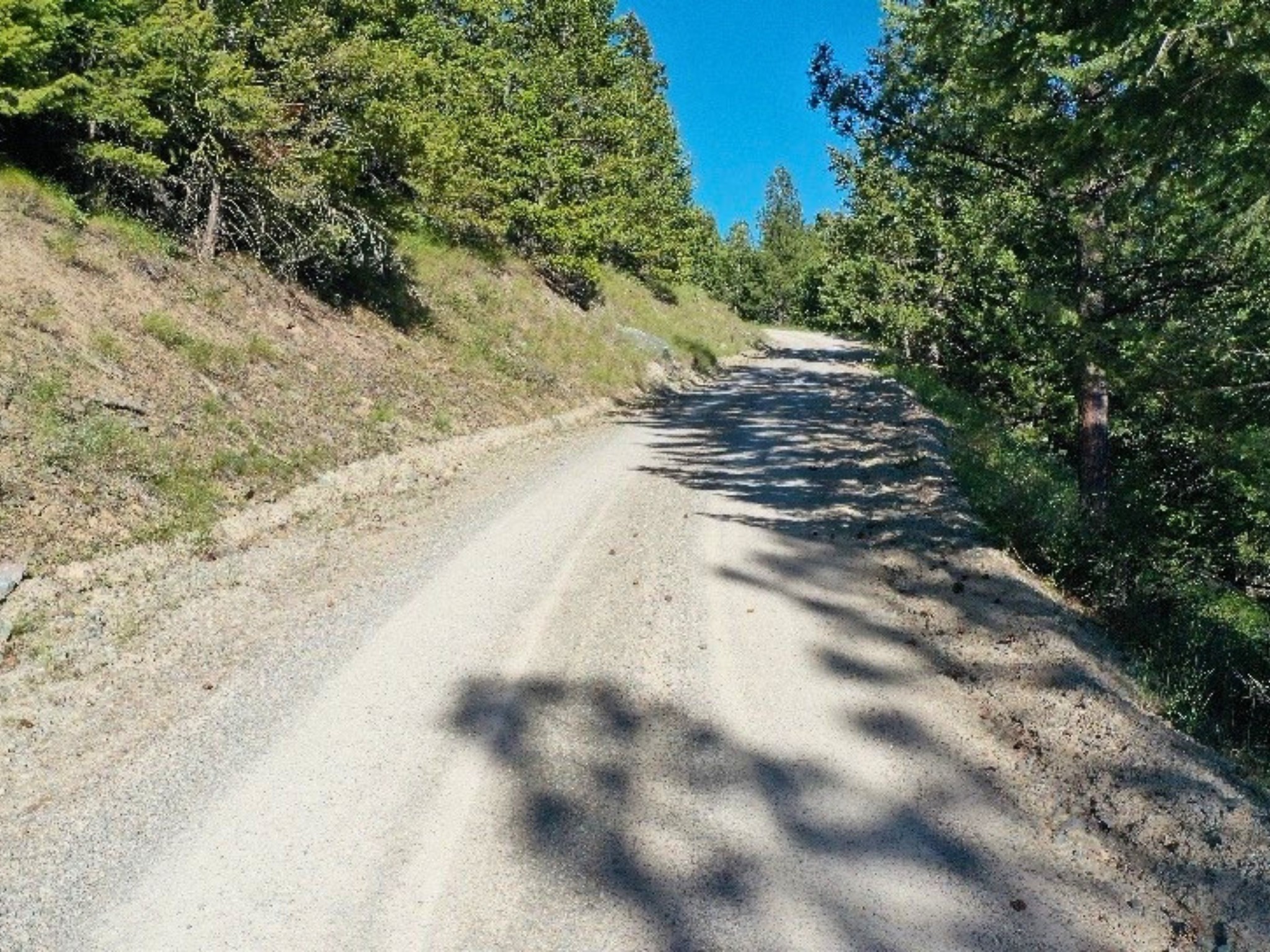 1895 Kienas Road
