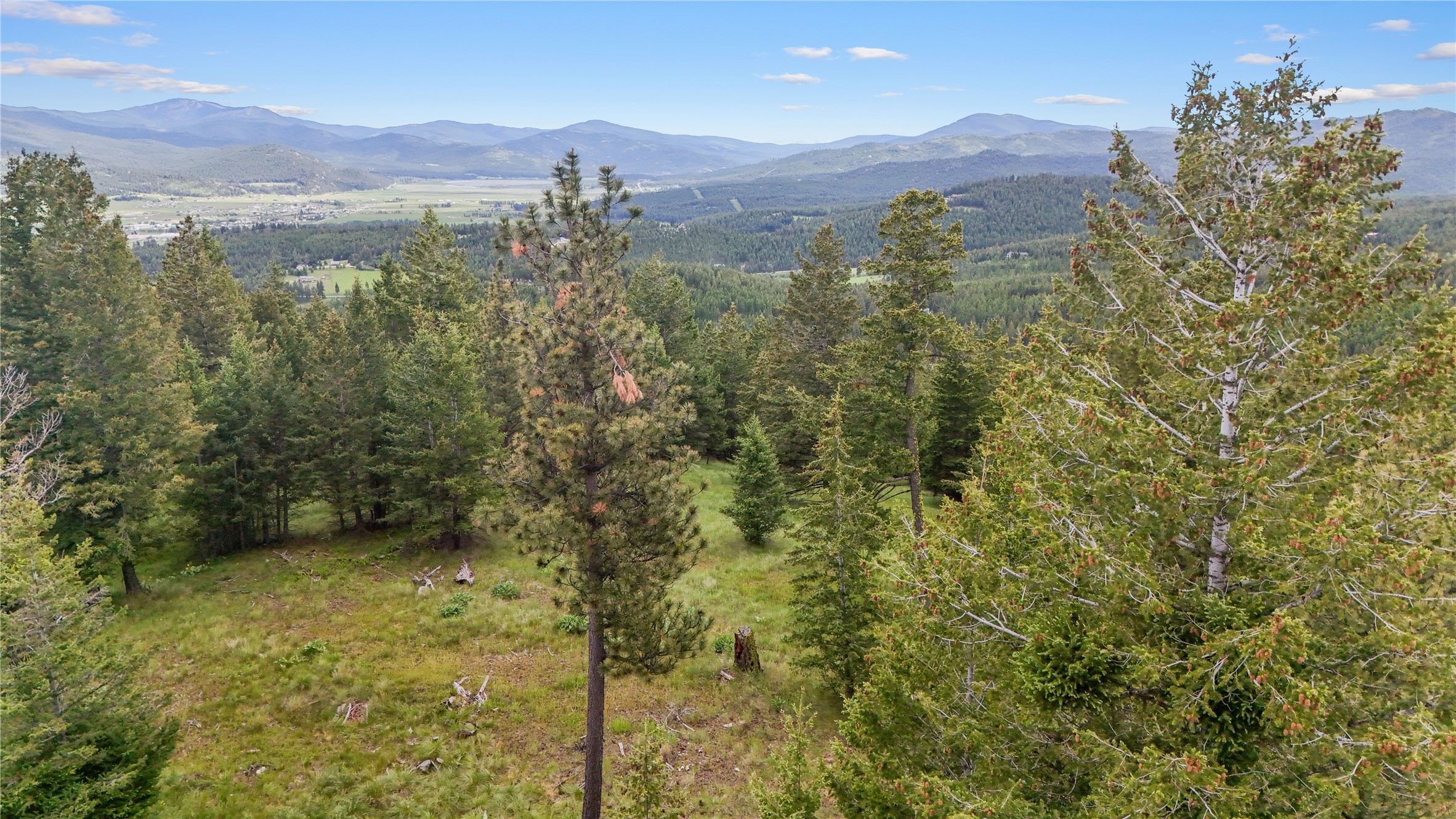 1895 Kienas Road