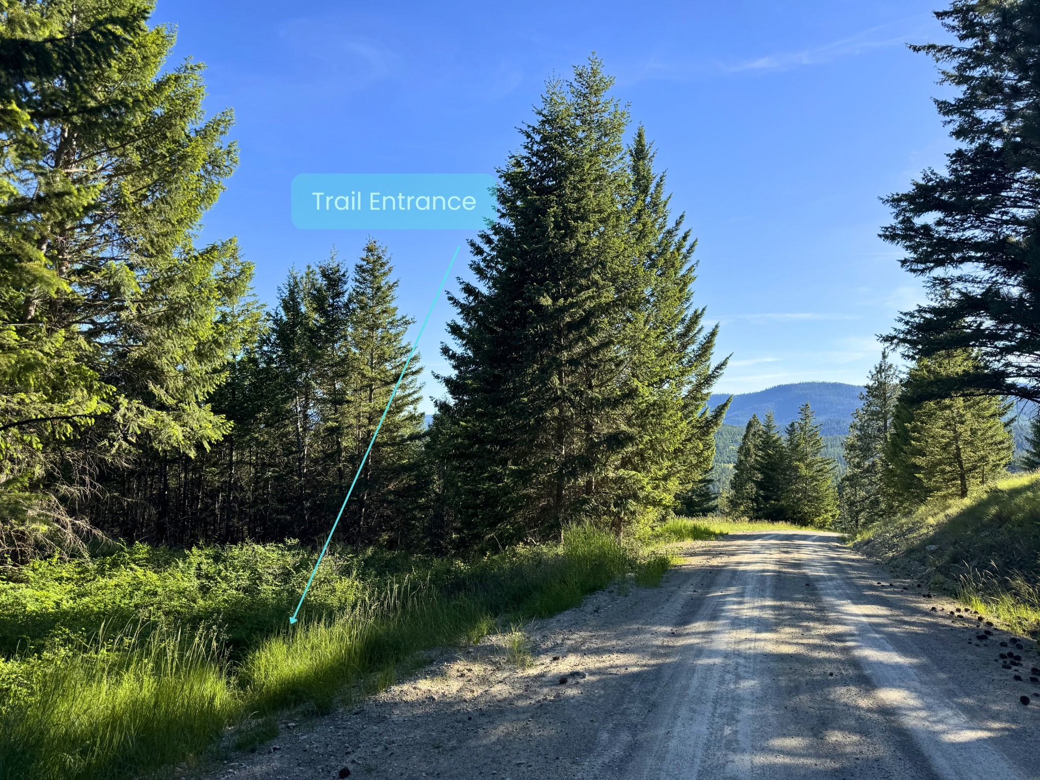 1895 Kienas Road