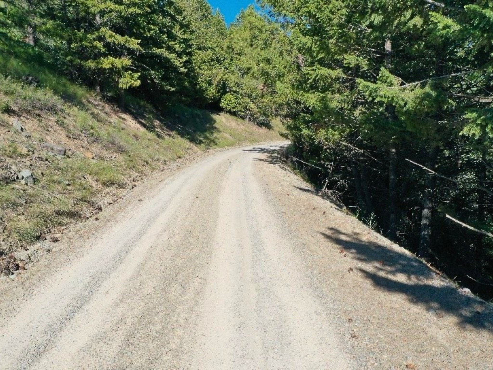 1895 Kienas Road