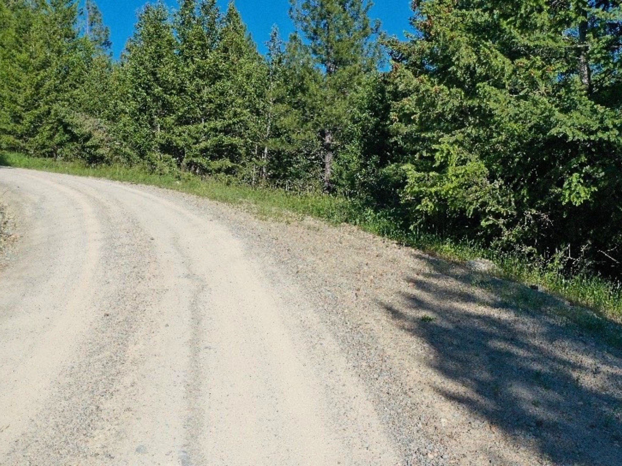 1895 Kienas Road