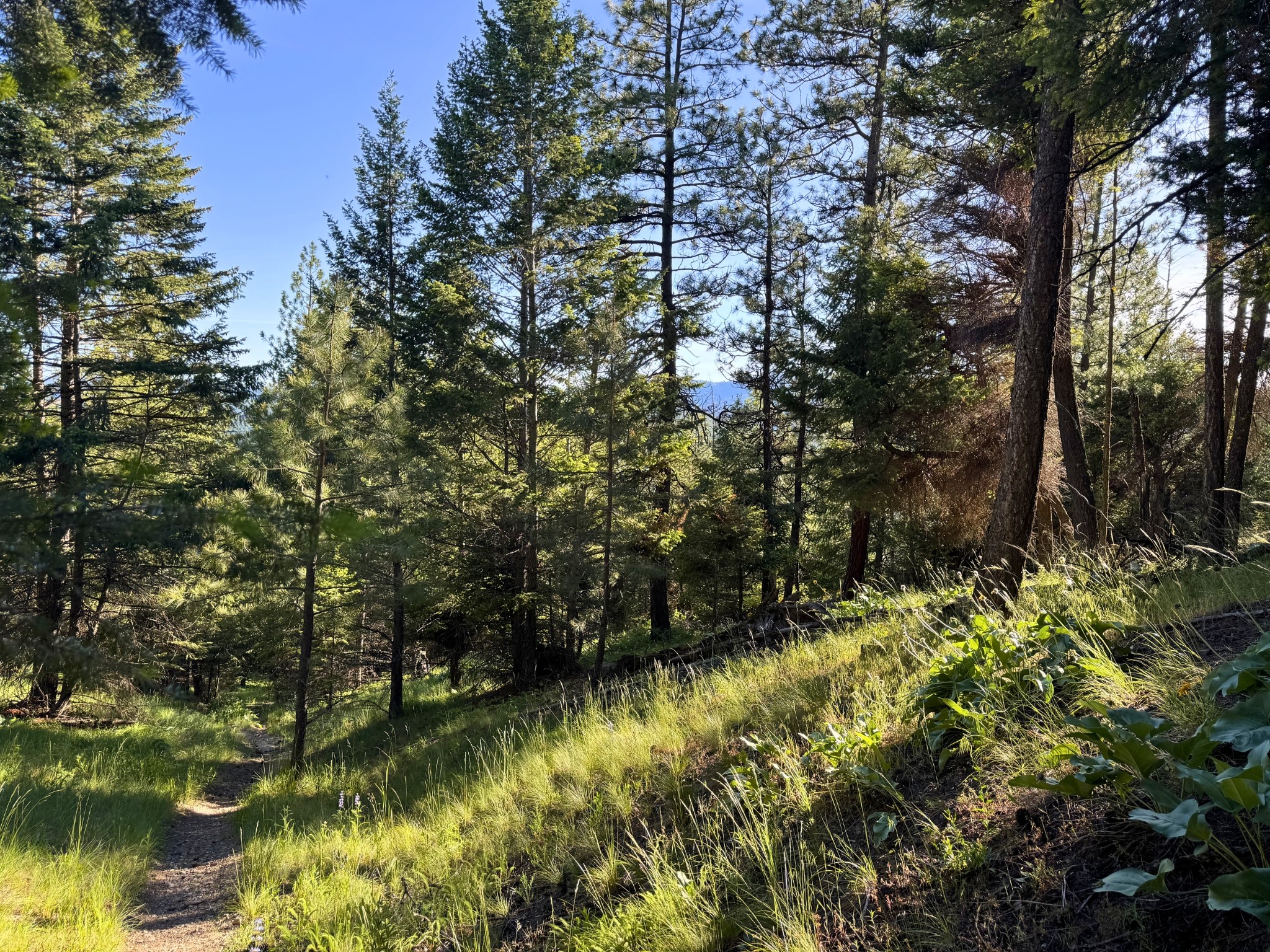 1895 Kienas Road