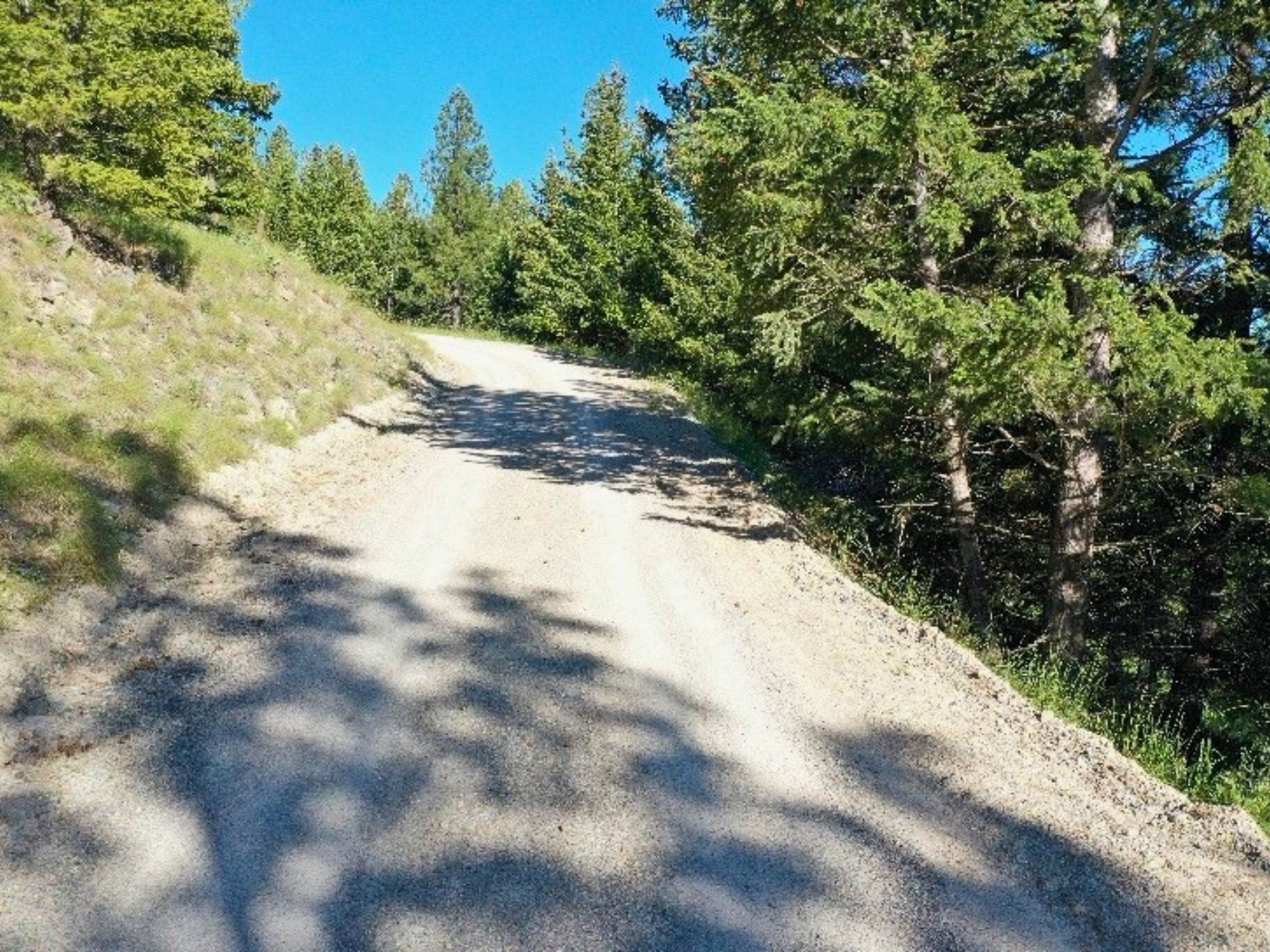 1895 Kienas Road
