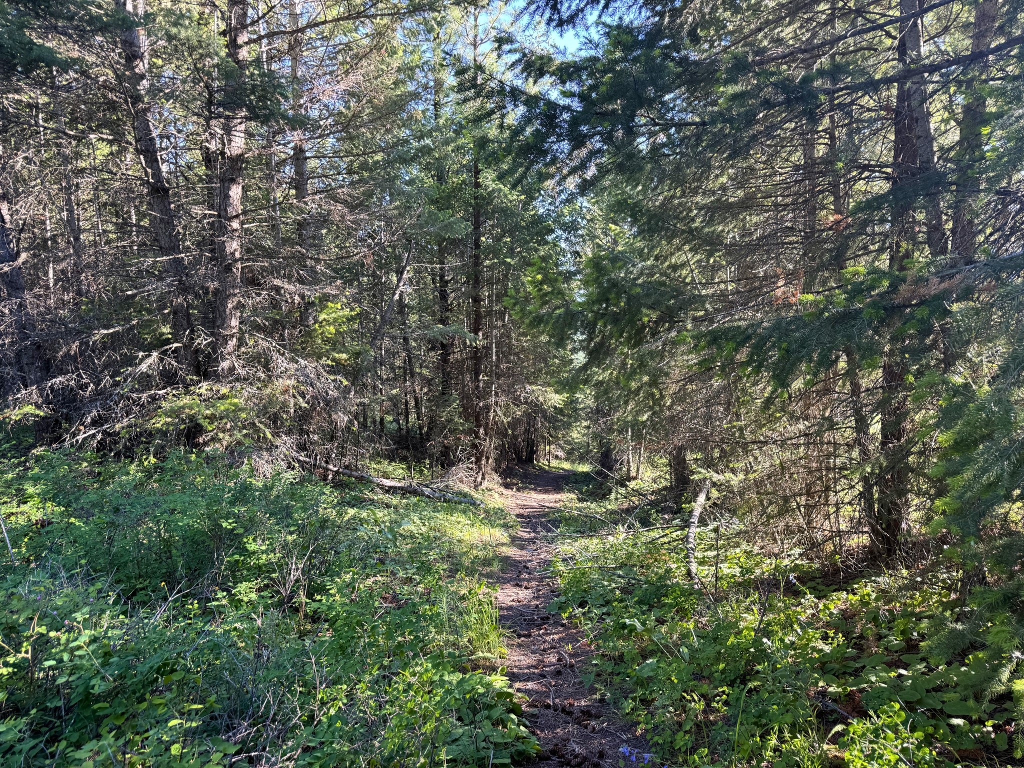 1895 Kienas Road