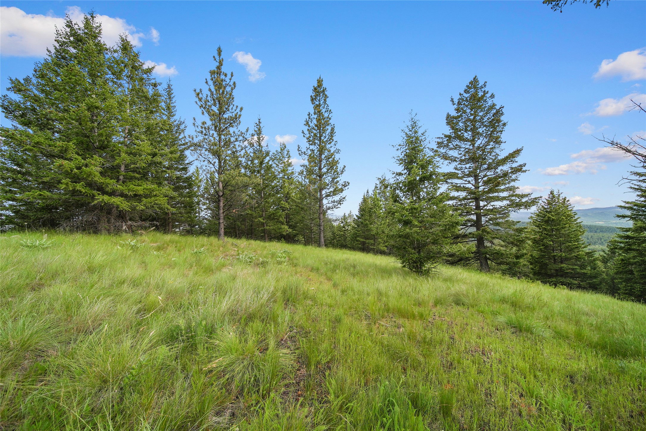 1895 Kienas Road