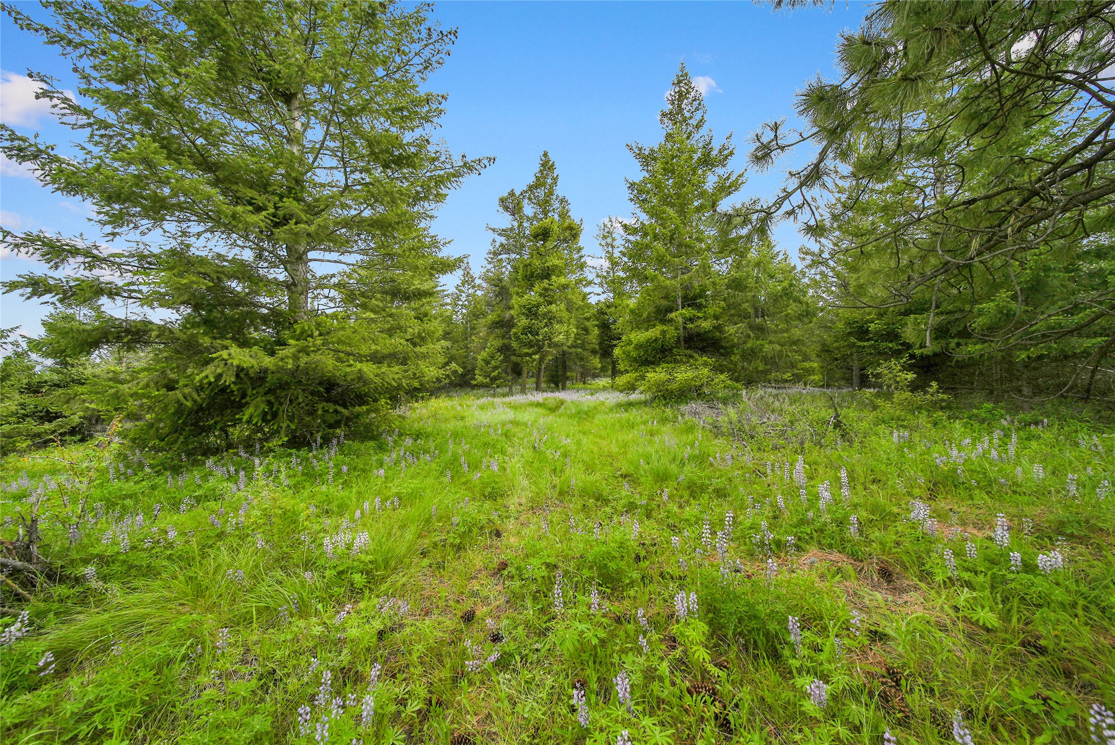 1895 Kienas Road