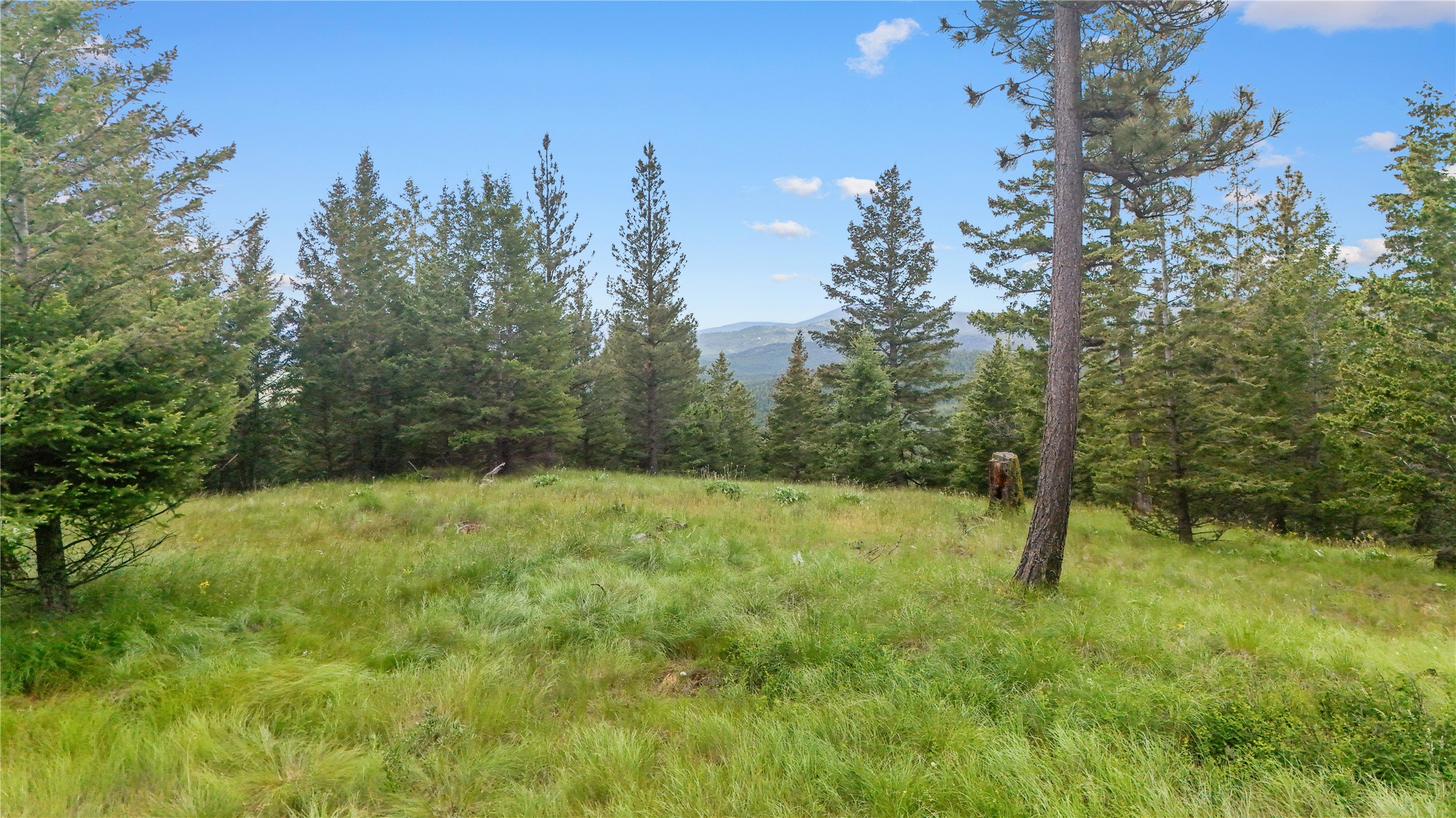 1895 Kienas Road