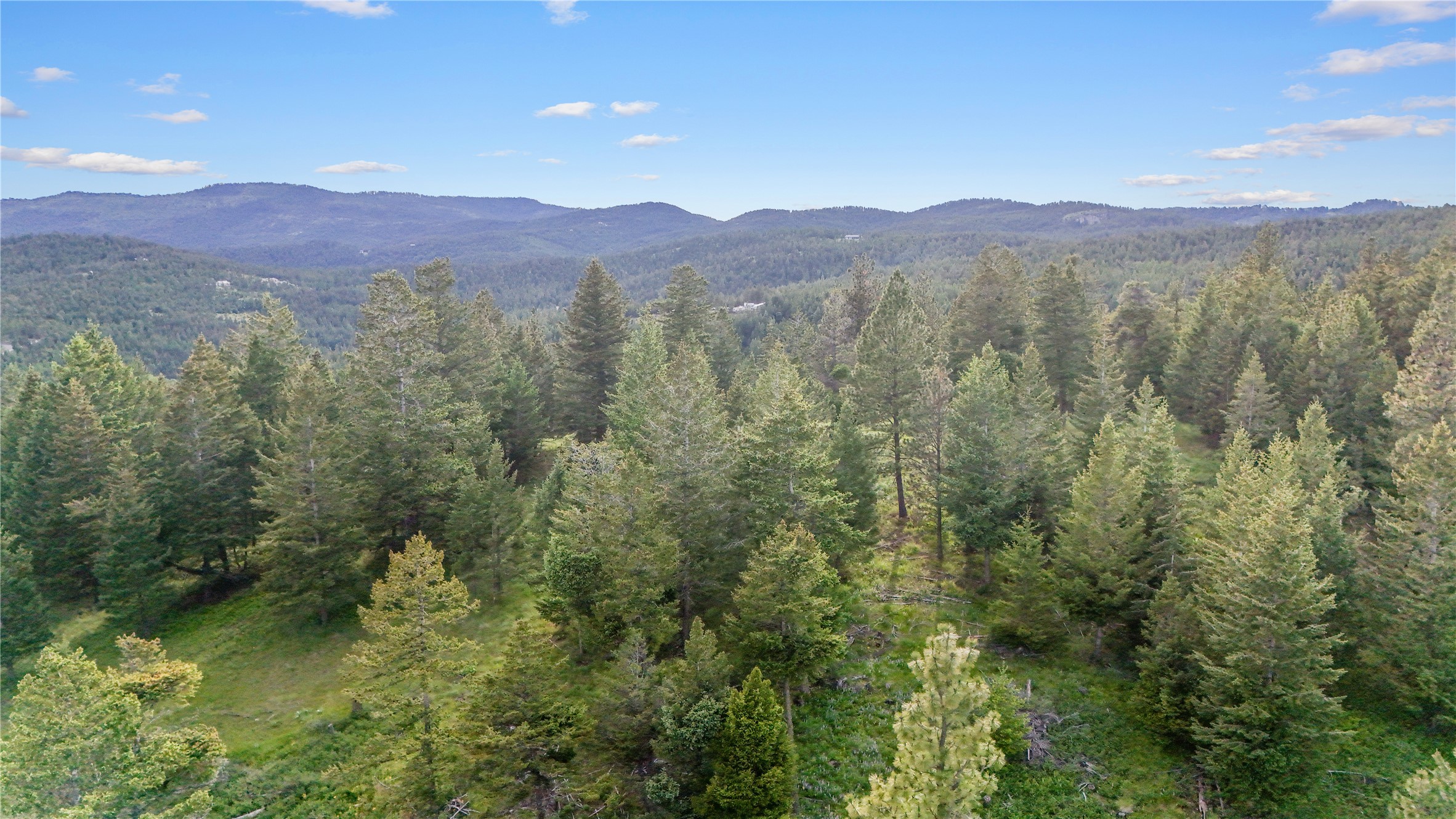 1895 Kienas Road