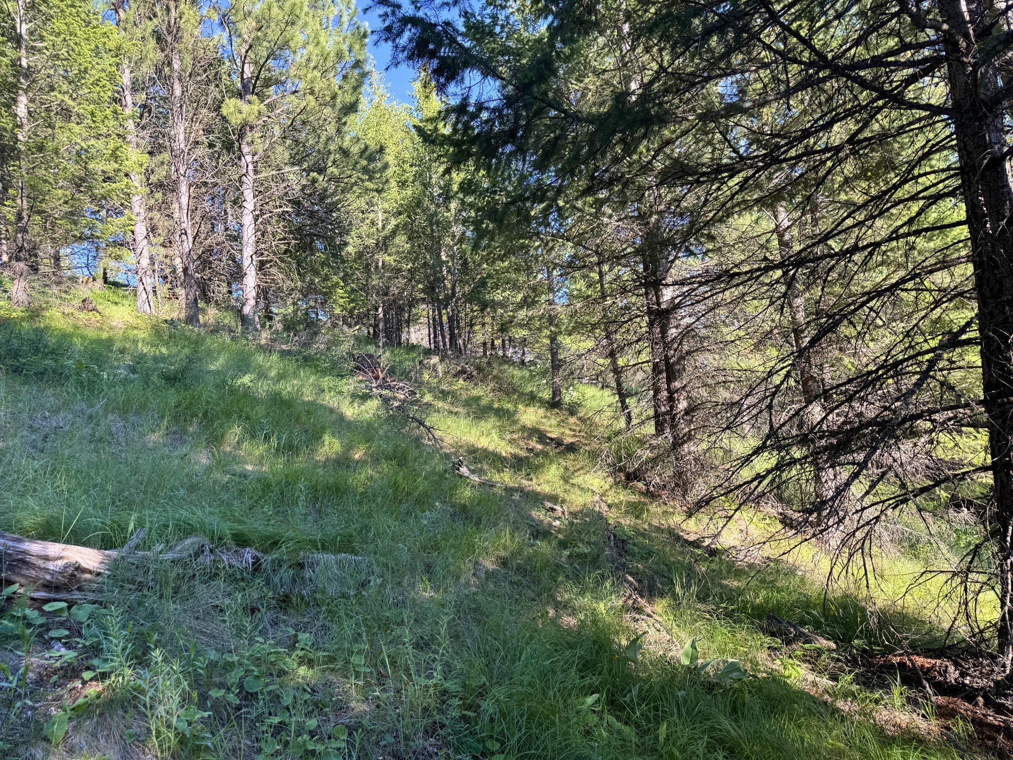 1895 Kienas Road
