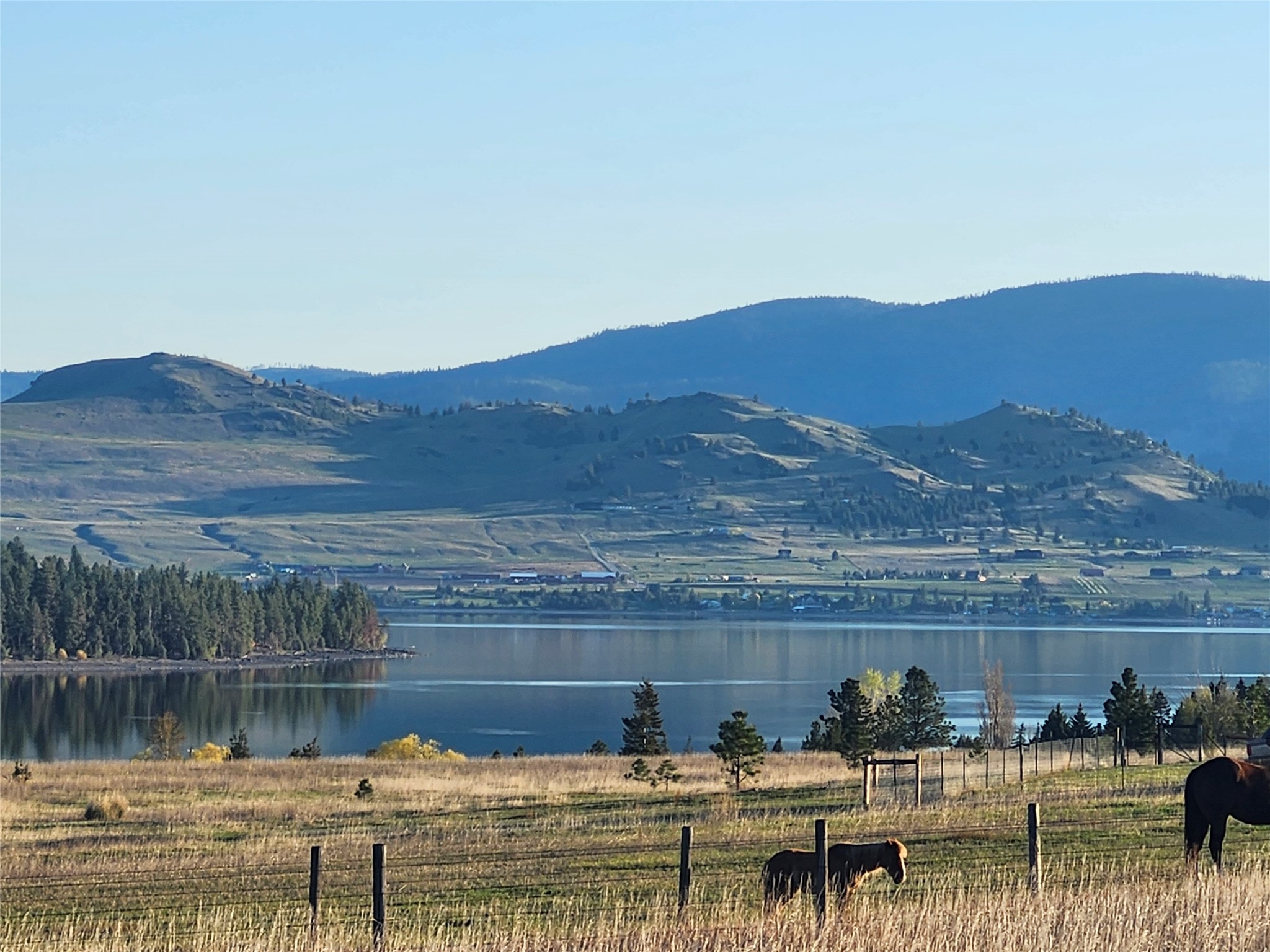 Lake and mountain view across a fenced pasture with grazing cattle.