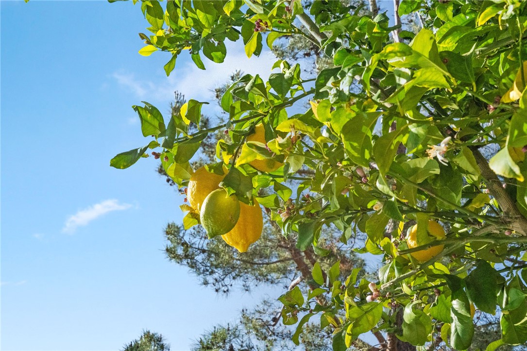 32864 Northshire Circle