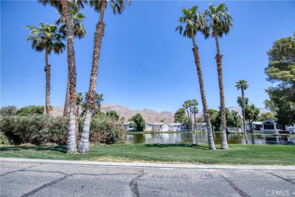 74711 Dillon Road 111