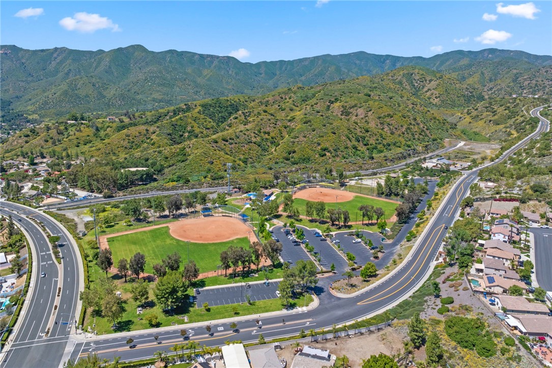 29435 Falling Leaf Drive