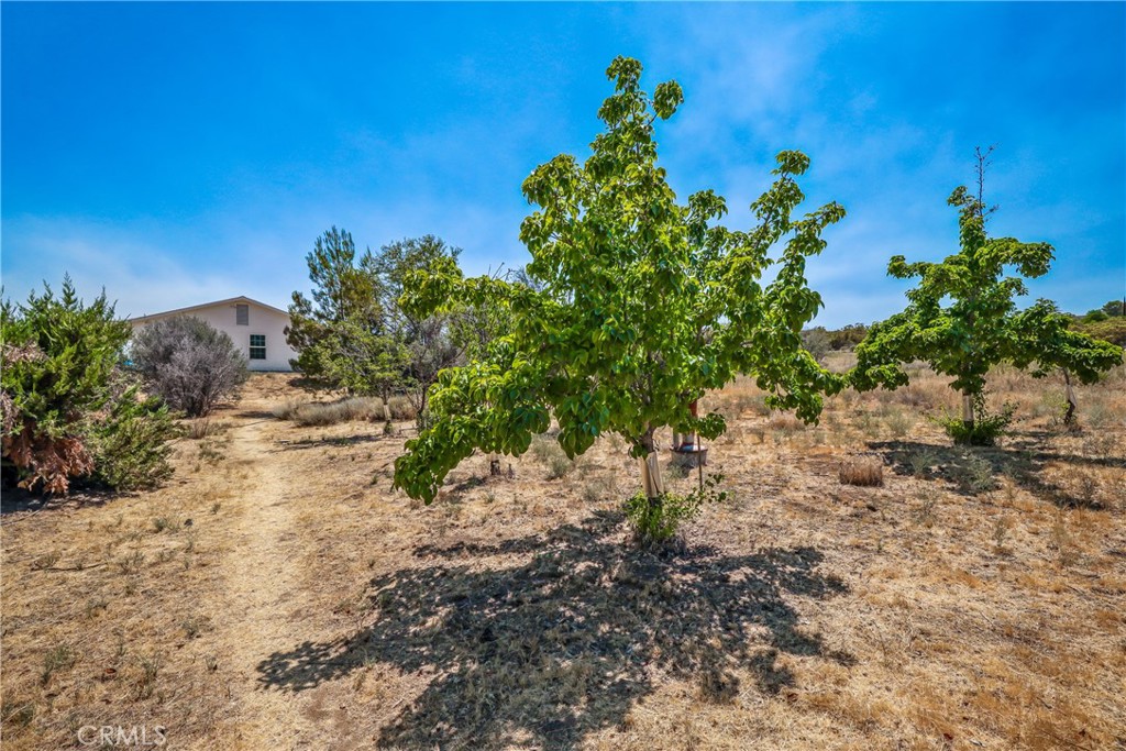 51800 Quail Mountain Drive