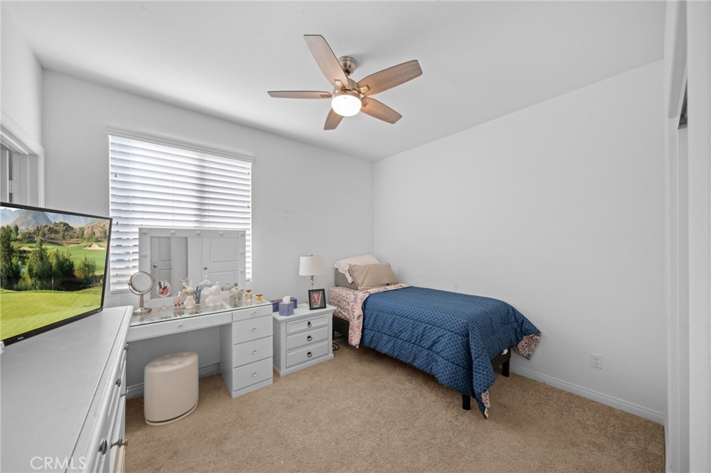 29552 Tulipwood Street