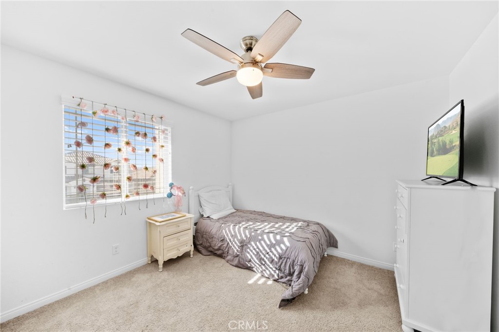 29552 Tulipwood Street