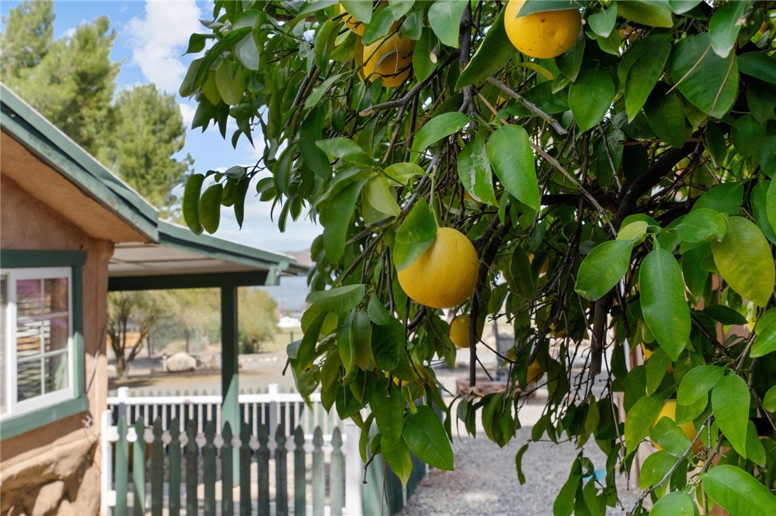 33120 Deeble Entrance Street