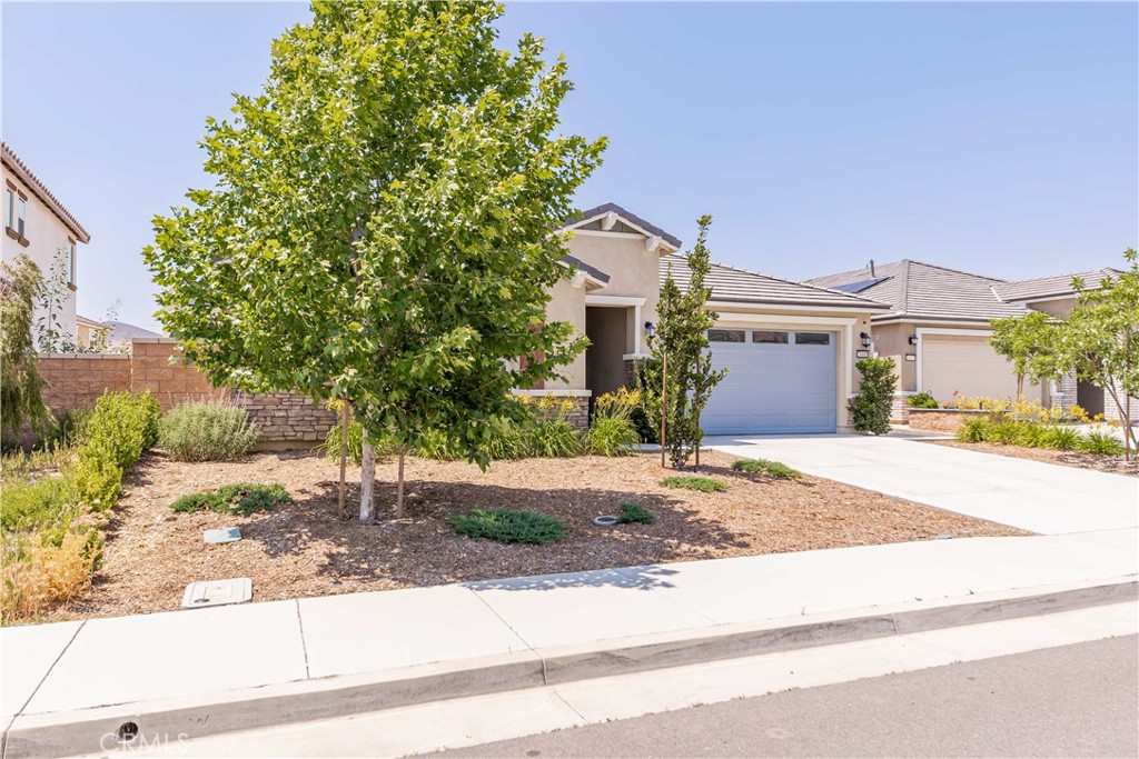 29485 Whitewood Street