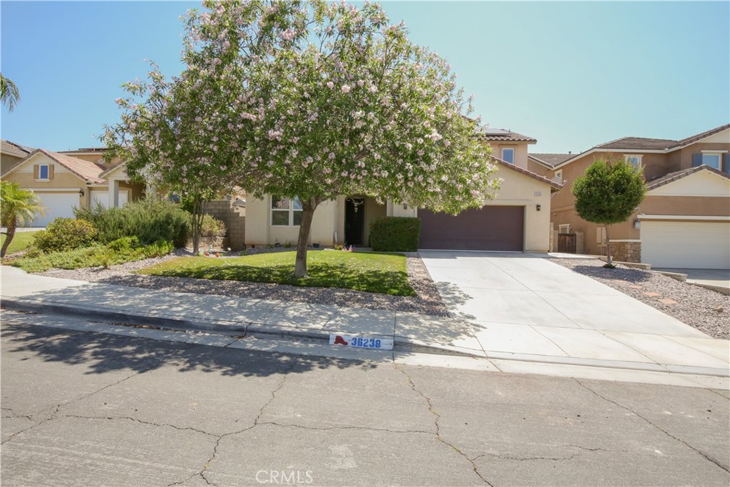 36238 Trail Creek Circle