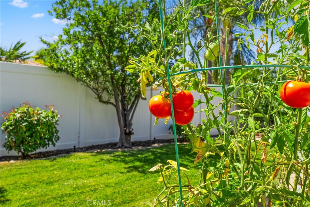 39669 Candy Apple Way