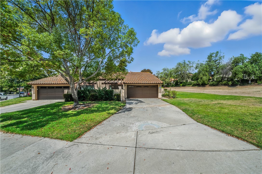 2113 David Drive