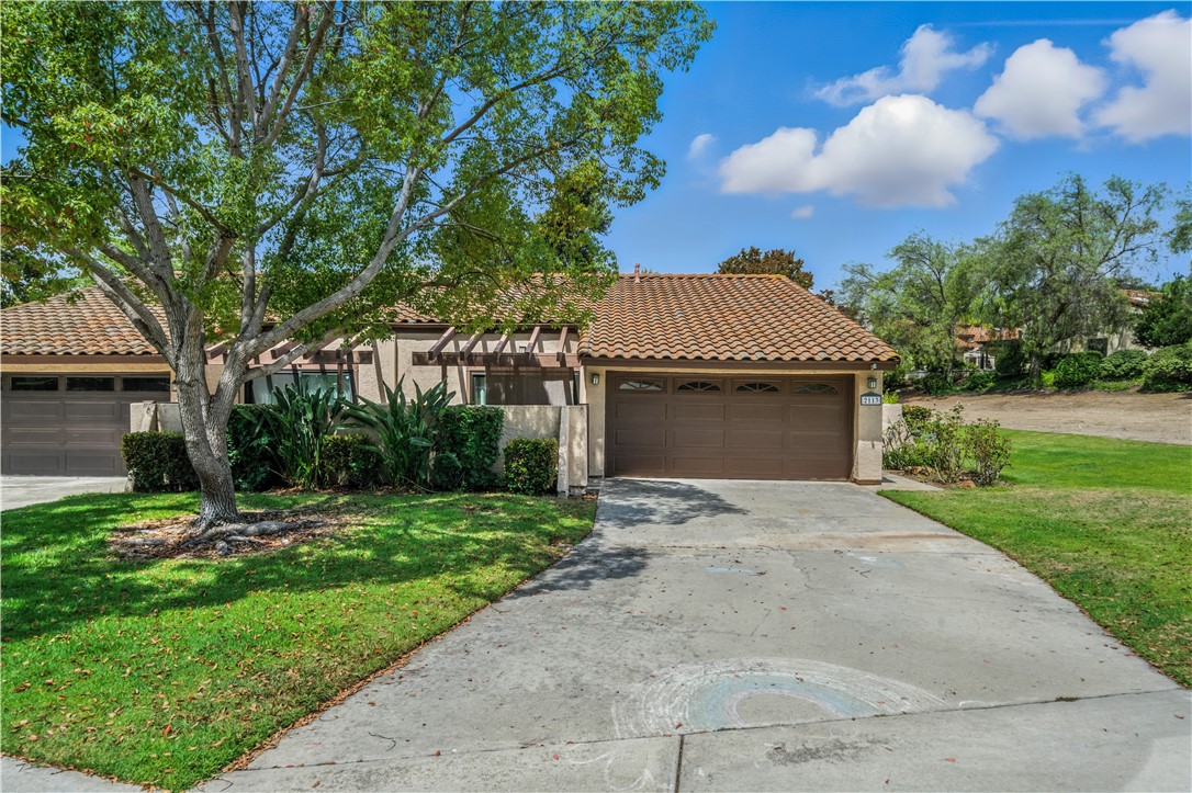 2113 David Drive