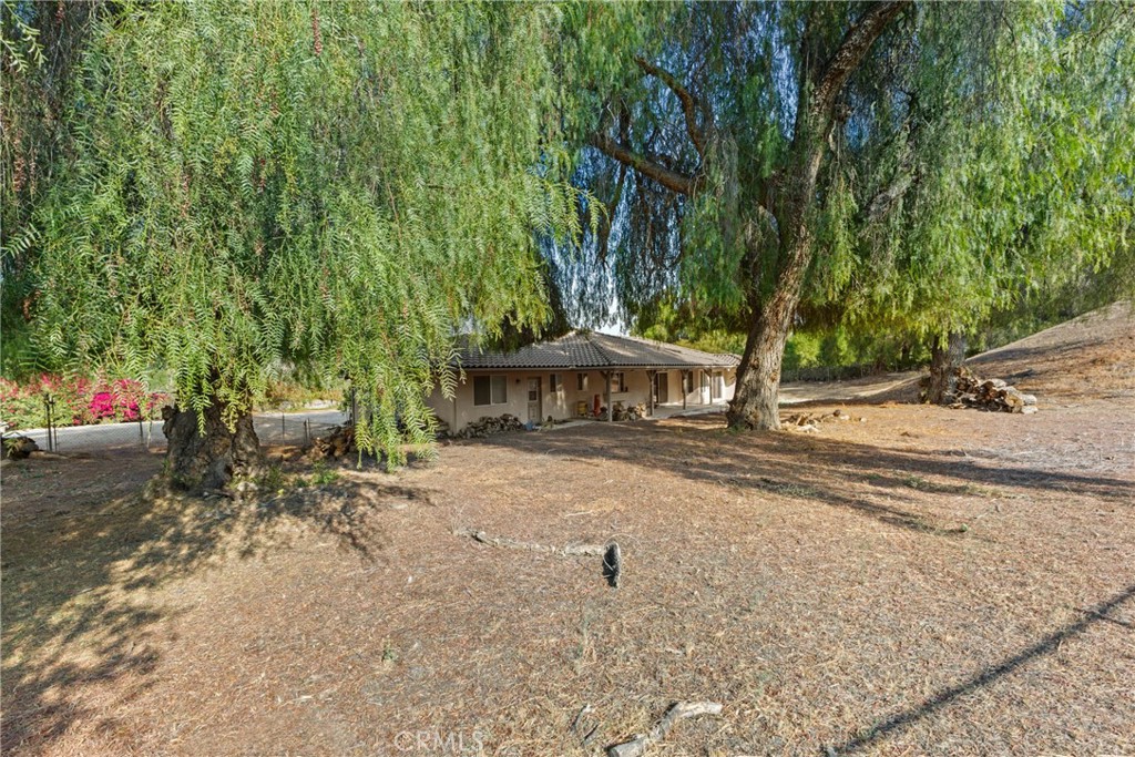 14511 Pine Court