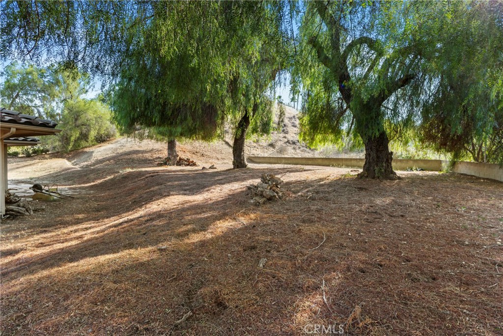 14511 Pine Court