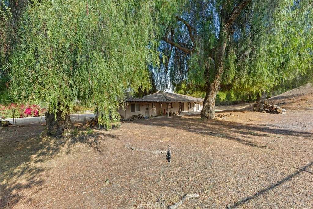 14511 Pine Court