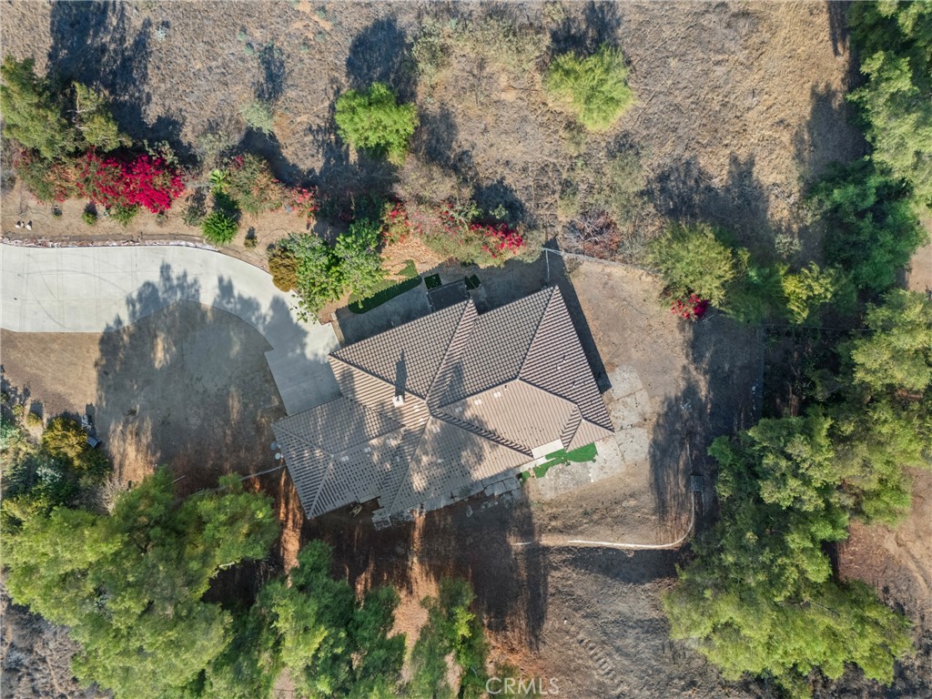 14511 Pine Court