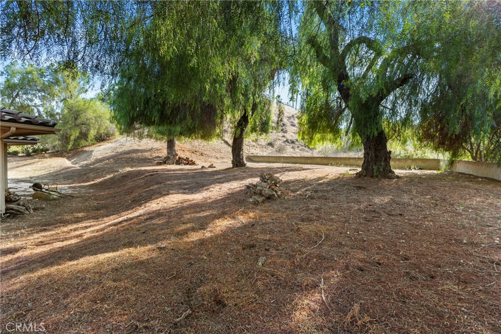 14511 Pine Court