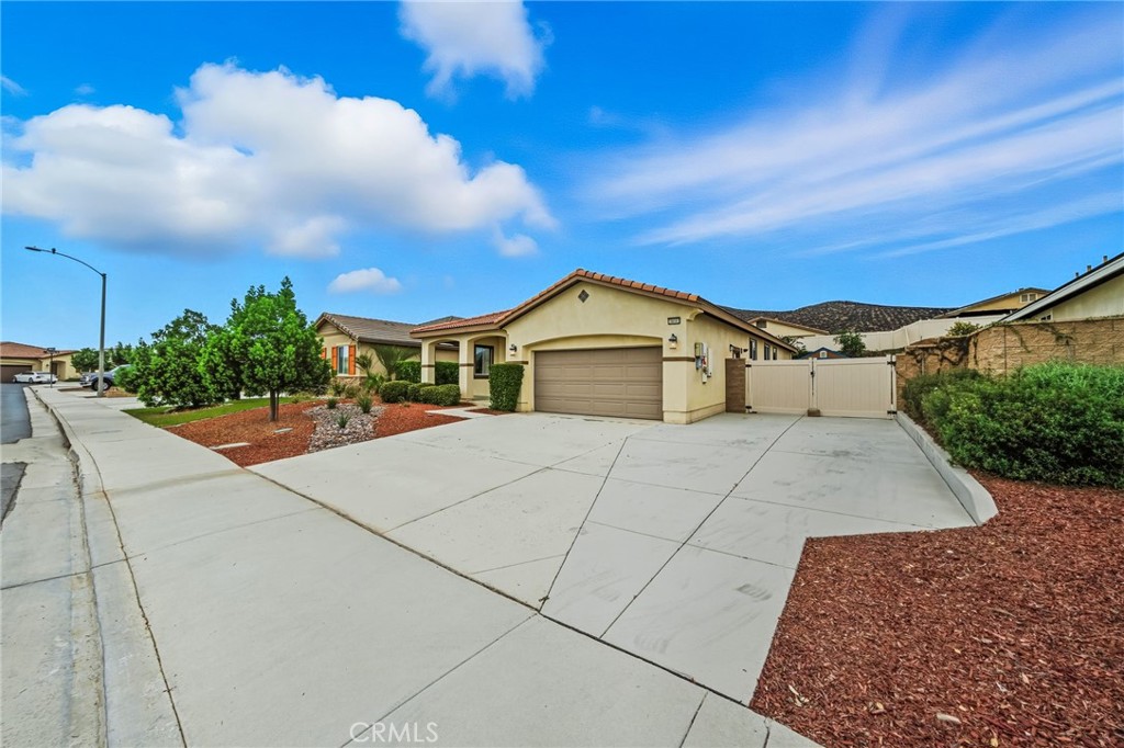 28693 Wedelia Street