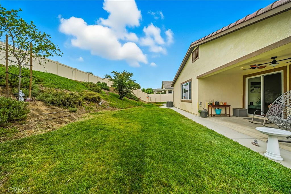 28693 Wedelia Street