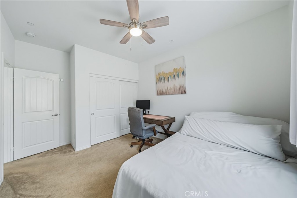 28693 Wedelia Street