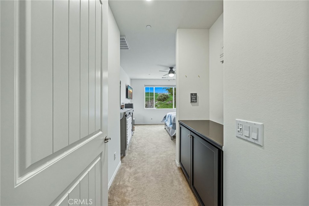 28693 Wedelia Street