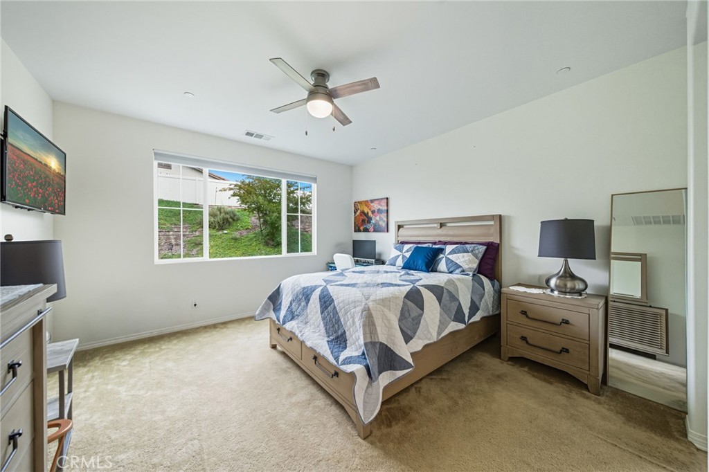 28693 Wedelia Street