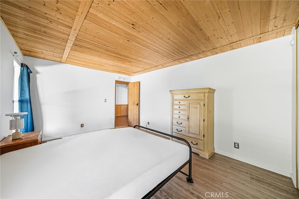 29118 Calle Potro