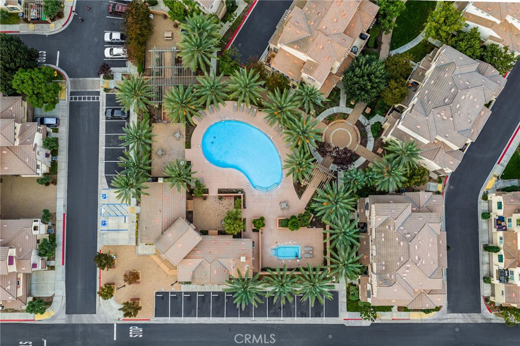 31154 Strawberry Tree 76