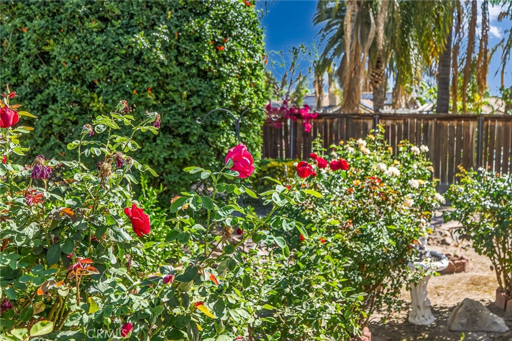 1137 Avenida Roundelay