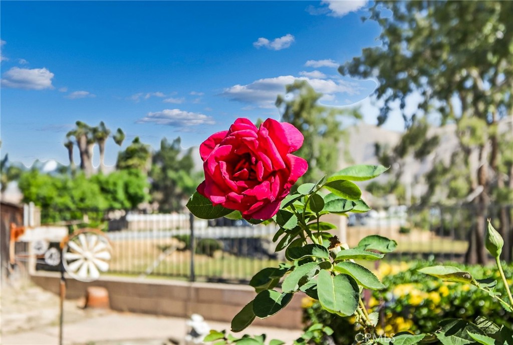 1137 Avenida Roundelay