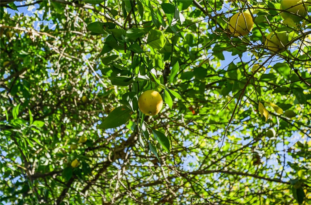 26850 Columbia Street