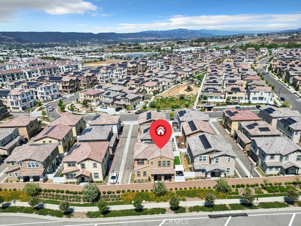 28175 Ashtree Street