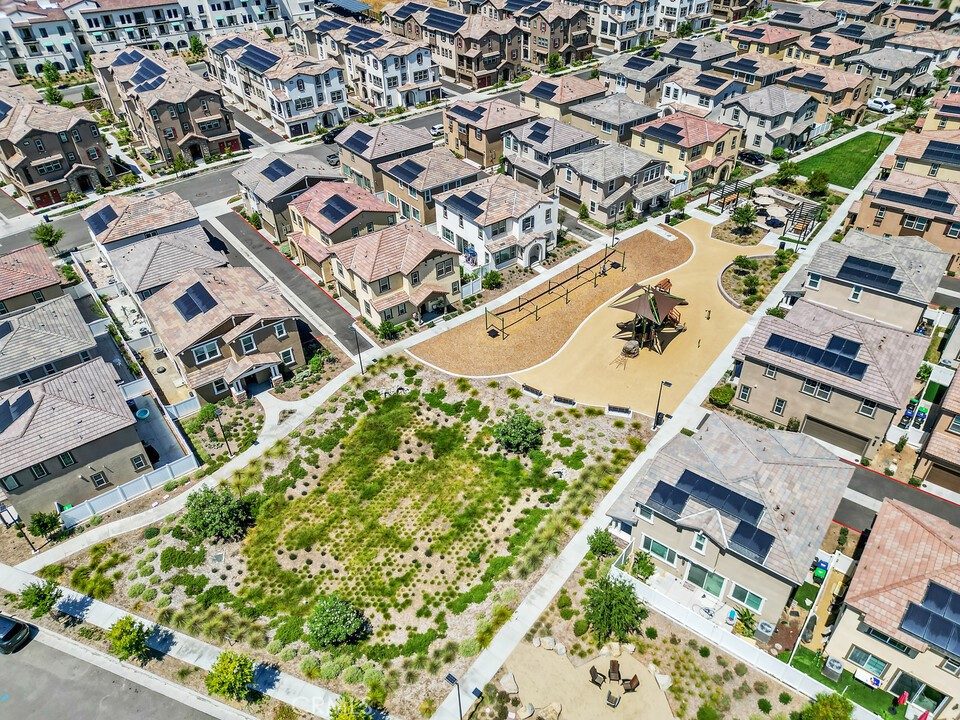 28175 Ashtree Street