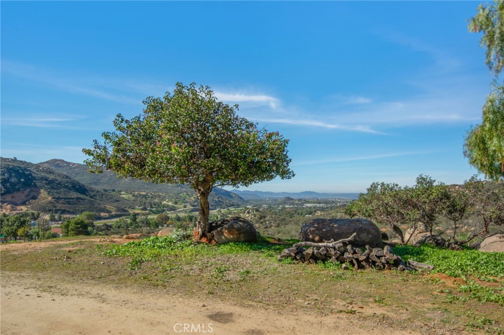 9874 Chocolate Summit