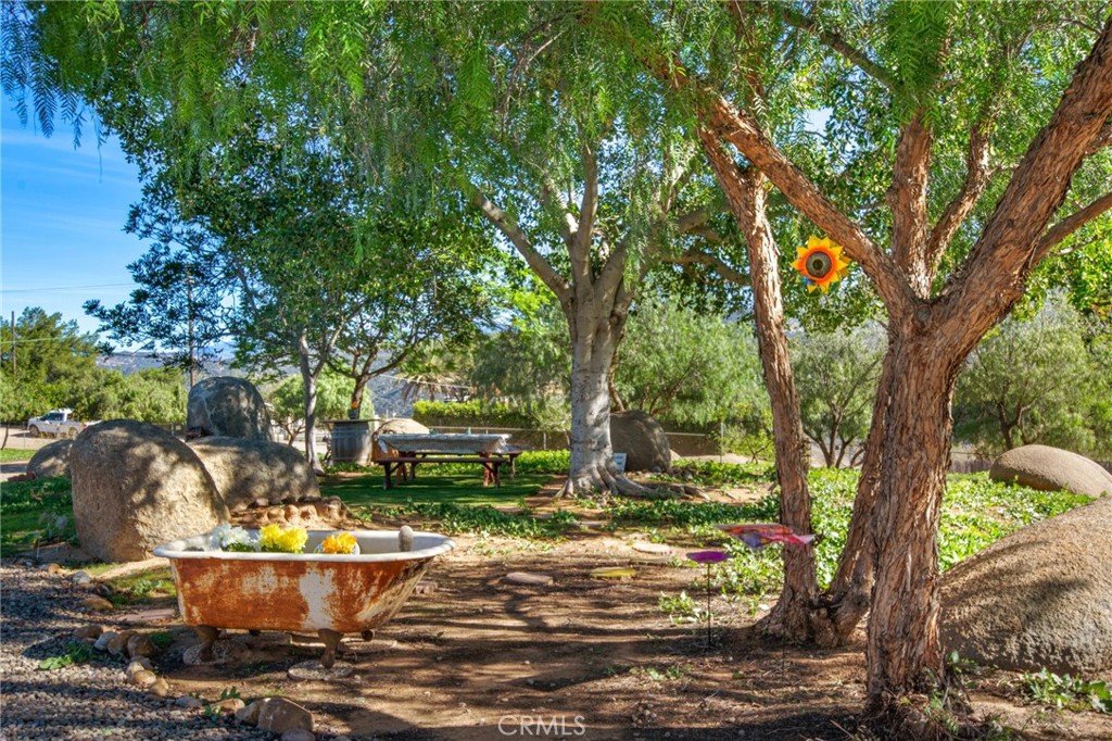 9874 Chocolate Summit