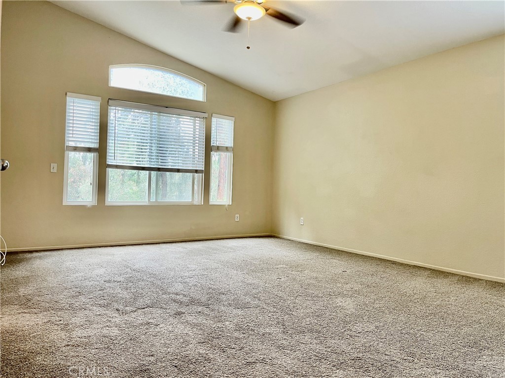 40794 Mountain Pride