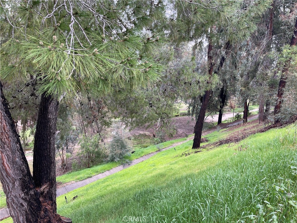 40794 Mountain Pride