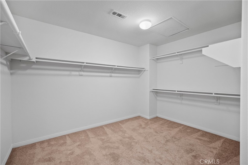 27368 Pumpkin Street