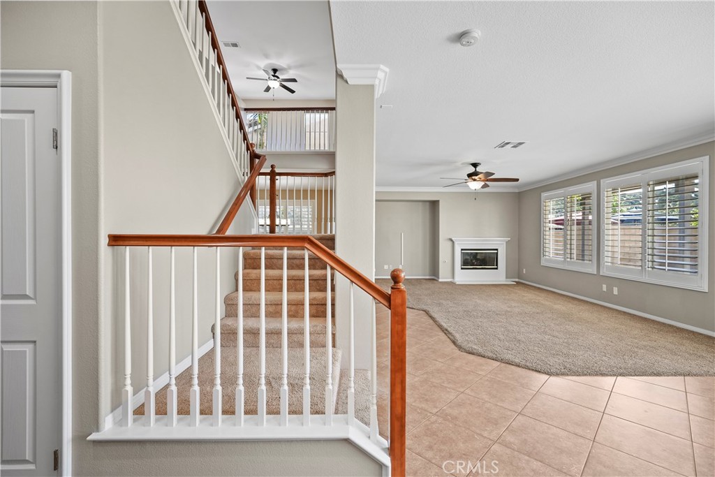 27368 Pumpkin Street